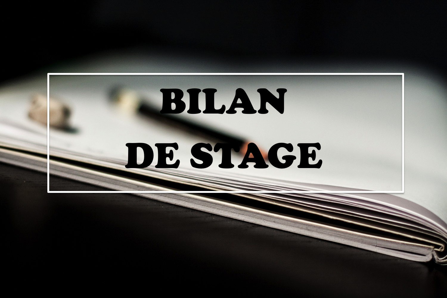 Faire Une Césure ? Bilan De Ce Que M'ont Apportée Ces Deux Stages