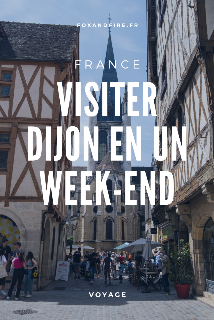 Visiter Dijon En Un Week-end : Conseils Et Recommandations